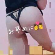 ヒメ日記 2025/11/13 20:02 投稿 ひまわり クラブレア南大阪