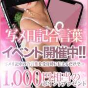 ヒメ日記 2025/11/15 00:01 投稿 ひまわり クラブレア南大阪