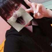 ヒメ日記 2025/12/23 23:21 投稿 ひまわり クラブレア南大阪