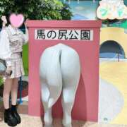 ヒメ日記 2025/12/15 14:00 投稿 ゆずは Gossip girl