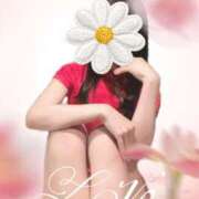 ヒメ日記 2025/11/20 11:15 投稿 釘崎なずな CLUB39（クラブサンキュー）