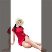 ヒメ日記 2025/12/01 20:12 投稿 釘崎なずな CLUB39（クラブサンキュー）