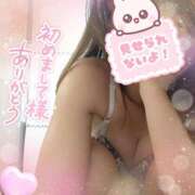 みな 11日のお礼💐 奥様なでしこ