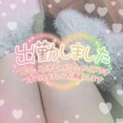 みな おはよーう(　˙꒳​˙ 　) 奥様なでしこ