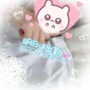 みな 出勤のお知らせ( *˙0˙*)۶  奥様なでしこ