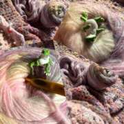 ヒメ日記 2025/12/15 23:27 投稿 一ノ瀬 じゅん La elf（ラ・エルフ）