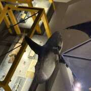 ヒメ日記 2026/03/24 14:10 投稿 一ノ瀬 じゅん La elf（ラ・エルフ）