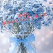 ヒメ日記 2025/11/15 19:44 投稿 みさ 熟女家 豊中蛍池店