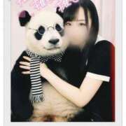 ヒメ日記 2025/11/03 14:51 投稿 いずな MONTE(モンテ)