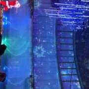 ヒメ日記 2025/11/13 00:52 投稿 まりあ　綺麗と可愛いが絶妙な美女 ROYAL FACE