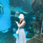 ヒメ日記 2026/08/06 13:12 投稿 まりあ　綺麗と可愛いが絶妙な美女 ROYAL FACE