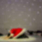 ヒメ日記 2025/12/20 16:58 投稿 るい さくらん