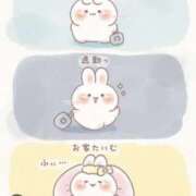 さえか 明日から昼職復帰します！ 奥鉄オクテツ東京店（デリヘル市場）