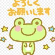 さえか 4月26日にキャンセルが出ました 奥鉄オクテツ東京店（デリヘル市場）