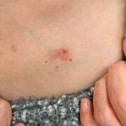 ヒメ日記 2025/11/26 10:38 投稿 園田みや子 五十路マダムエクスプレス船橋店(カサブランカグループ)