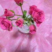 ヒメ日記 2025/12/10 09:14 投稿 園田みや子 五十路マダムエクスプレス船橋店(カサブランカグループ)