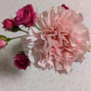 ヒメ日記 2025/12/15 09:46 投稿 園田みや子 五十路マダムエクスプレス船橋店(カサブランカグループ)