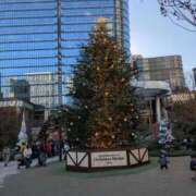 ヒメ日記 2025/12/23 09:36 投稿 園田みや子 五十路マダムエクスプレス船橋店(カサブランカグループ)