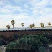 ヒメ日記 2025/12/26 08:28 投稿 園田みや子 五十路マダムエクスプレス船橋店(カサブランカグループ)