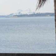 ヒメ日記 2025/12/29 09:10 投稿 園田みや子 五十路マダムエクスプレス船橋店(カサブランカグループ)