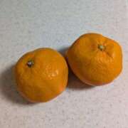 ヒメ日記 2026/01/03 10:12 投稿 園田みや子 五十路マダムエクスプレス船橋店(カサブランカグループ)