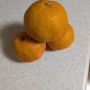 ヒメ日記 2026/01/06 09:04 投稿 園田みや子 五十路マダムエクスプレス船橋店(カサブランカグループ)