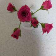 ヒメ日記 2026/01/13 09:32 投稿 園田みや子 五十路マダムエクスプレス船橋店(カサブランカグループ)