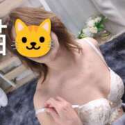 ヒメ日記 2026/01/19 09:42 投稿 園田みや子 五十路マダムエクスプレス船橋店(カサブランカグループ)