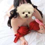 ヒメ日記 2025/11/13 09:00 投稿 なつほ ミセス ファースト -お姉さん・若妻専門店-