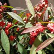 ヒメ日記 2026/02/27 20:28 投稿 里中結衣(ゆい) 東京不倫～とうきょうふりん～