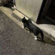 ヒメ日記 2025/11/18 16:46 投稿 星乃ねね【優】 とびきりかわいい専門～You:More～