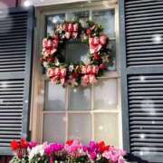 ヒメ日記 2025/12/12 10:53 投稿 星宮 ゆうり イマジン東京