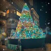 ヒメ日記 2025/12/14 23:29 投稿 星宮 ゆうり イマジン東京