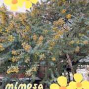 ヒメ日記 2026/03/22 14:59 投稿 星宮 ゆうり イマジン東京