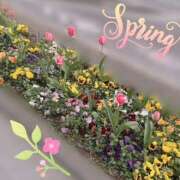 ヒメ日記 2026/04/08 14:07 投稿 星宮 ゆうり イマジン東京