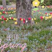 ヒメ日記 2026/04/14 12:02 投稿 星宮 ゆうり イマジン東京