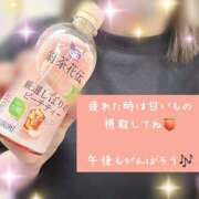 ヒメ日記 2026/05/12 14:49 投稿 星宮 ゆうり イマジン東京