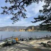 ヒメ日記 2026/02/25 11:59 投稿 ましろ★ レースクィーン