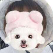 ヒメ日記 2026/01/12 11:45 投稿 ここ 姫マーケット