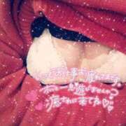 ヒメ日記 2026/02/14 14:35 投稿 ここ 姫マーケット