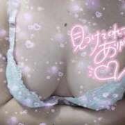 ヒメ日記 2026/03/15 09:15 投稿 ここ 姫マーケット