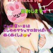 ヒメ日記 2026/02/07 11:10 投稿 よしの 若妻淫乱倶楽部