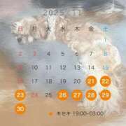 ヒメ日記 2025/11/22 19:19 投稿 ☆らむ☆ Kiseki