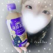 ヒメ日記 2025/11/19 19:41 投稿 つきの 奥様特急長岡店