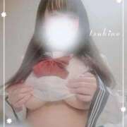 ヒメ日記 2025/12/07 13:21 投稿 つきの 奥様特急長岡店