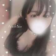 つきの 明日からだよん 奥様特急長岡店