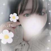 ヒメ日記 2026/04/09 04:31 投稿 つきの 奥様特急長岡店