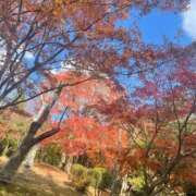 ヒメ日記 2025/11/30 20:32 投稿 さやか 妻天 日本橋店