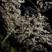 ヒメ日記 2026/04/09 23:32 投稿 さやか 妻天 日本橋店