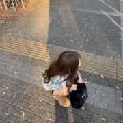 ヒメ日記 2025/11/09 01:30 投稿 せつな 姫コレクション